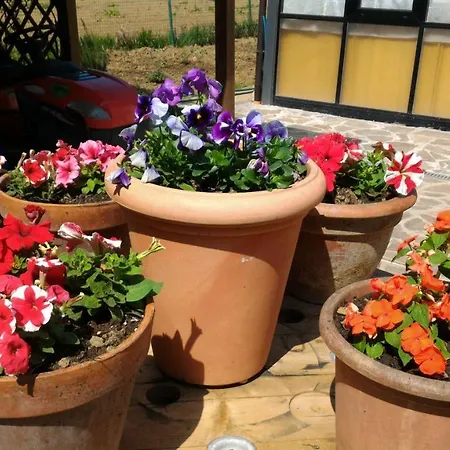 Bed & Breakfast L'oasi Di Pasqua *